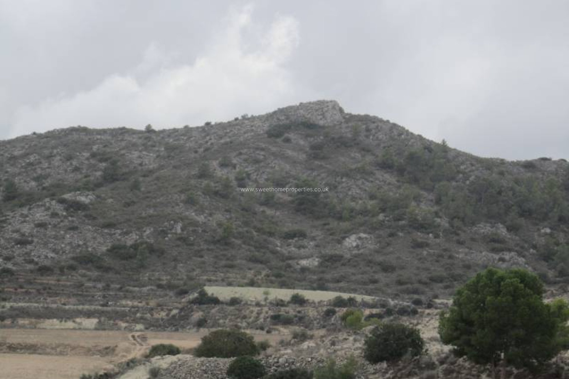 Herverkoop - Plot - Novelda - HORNA