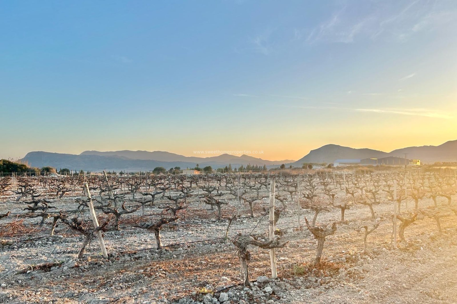 Herverkoop - Plot - Novelda