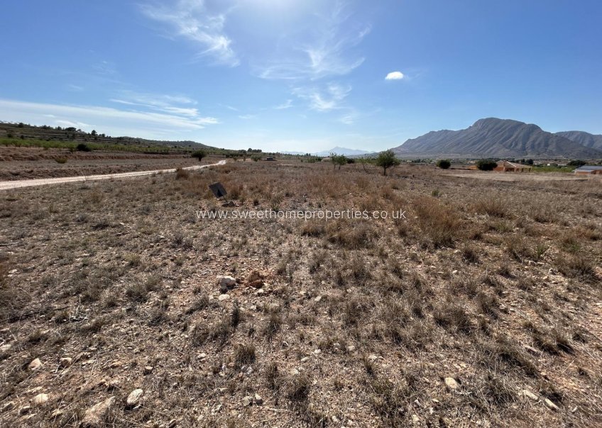 Herverkoop - Plot - Orihuela - Barbarroja