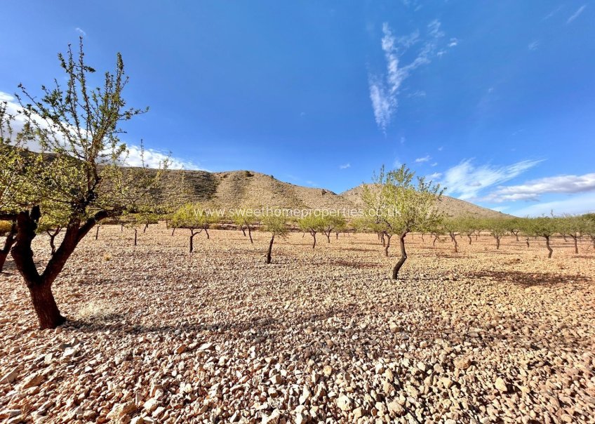 Herverkoop - Plot - Orihuela - Hondon De Los Frailes