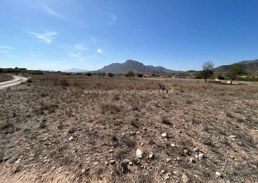 Herverkoop - Plot - Orihuela - Hondon De Los Frailes