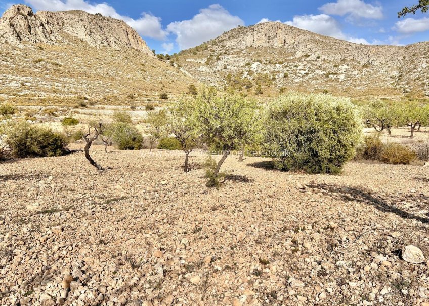 Herverkoop - Plot - Orihuela - Hondon De Los Frailes