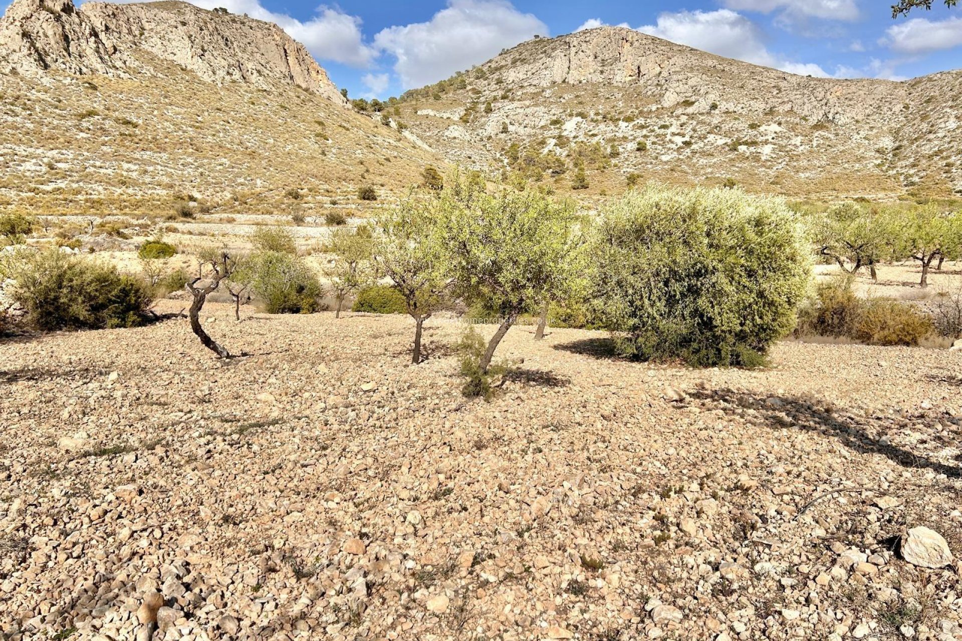 Herverkoop - Plot - Orihuela - Hondon De Los Frailes