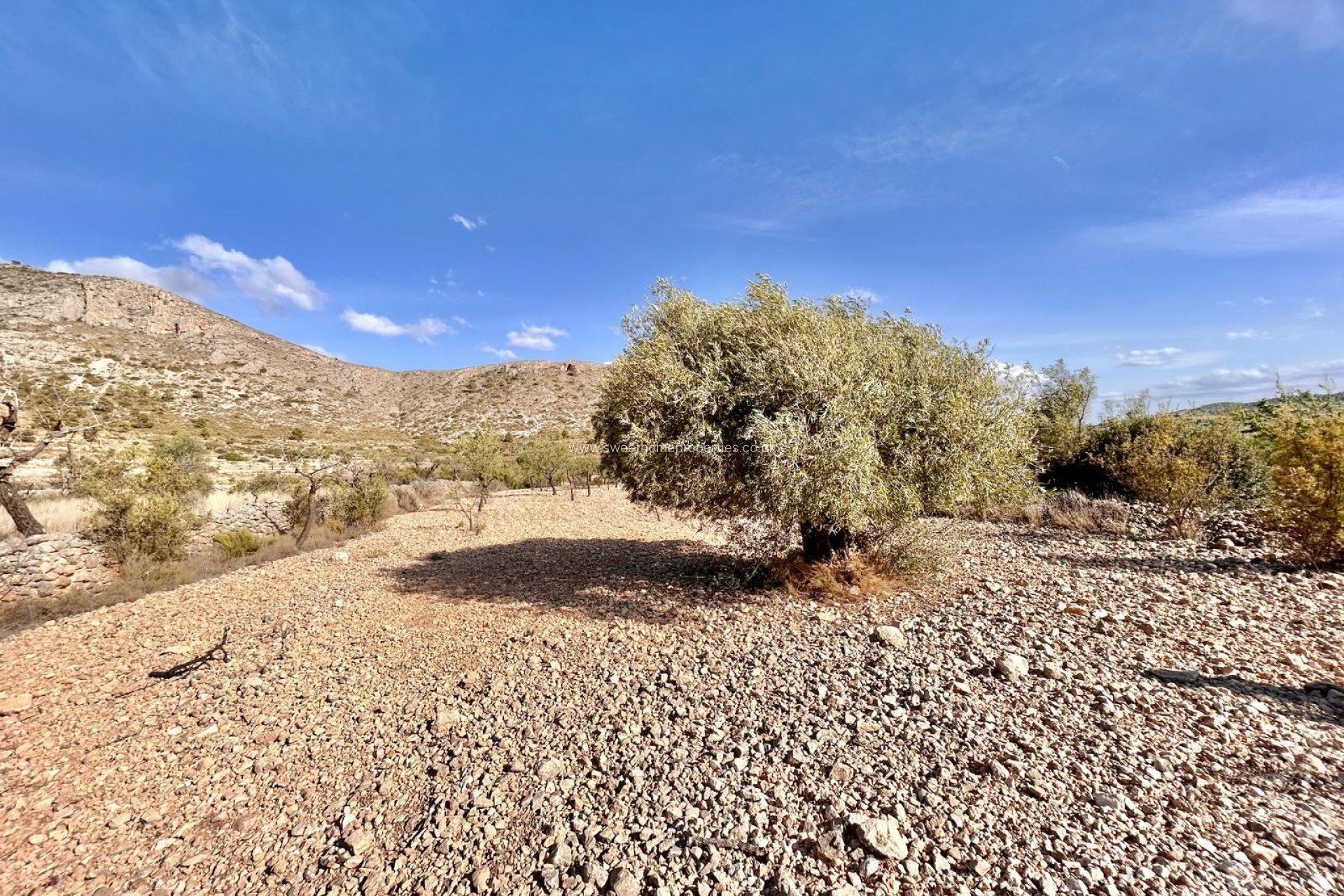 Herverkoop - Plot - Orihuela - Hondon De Los Frailes