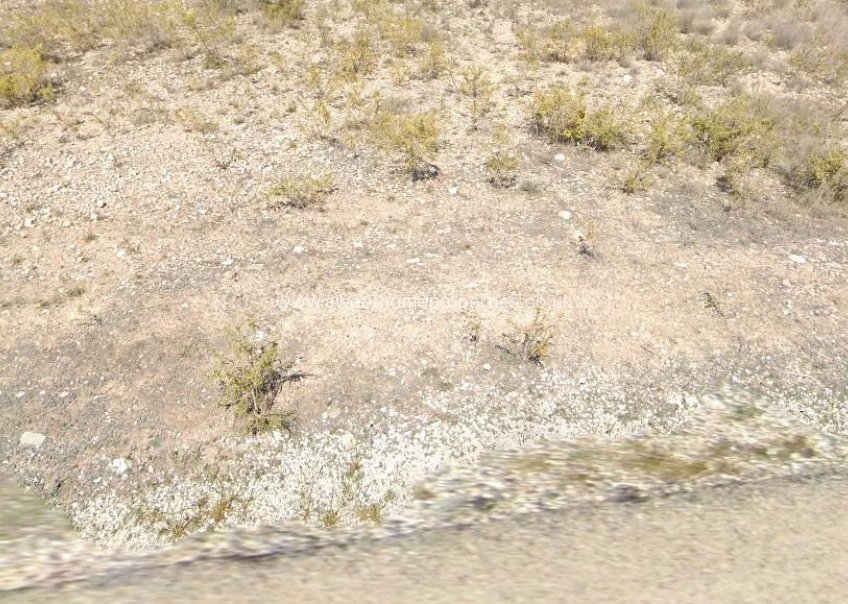 Herverkoop - Plot - Orihuela - Hondon De Los Frailes