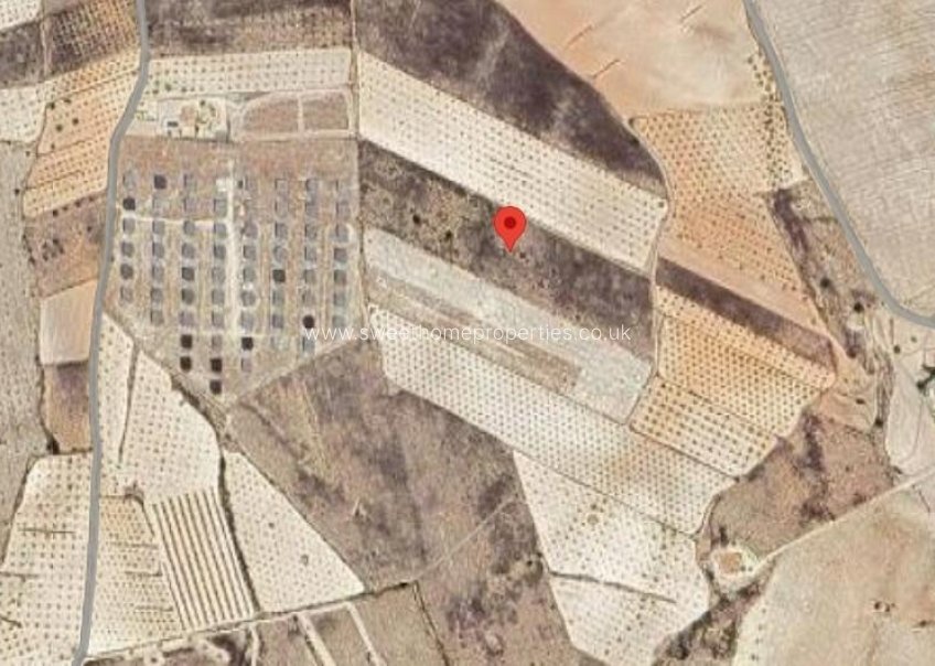 Herverkoop - Plot - Pinoso - CAÑADA DEL TRIGO