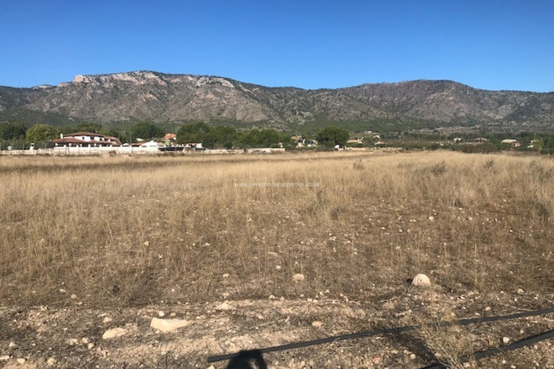 Herverkoop - Plot - Salinas