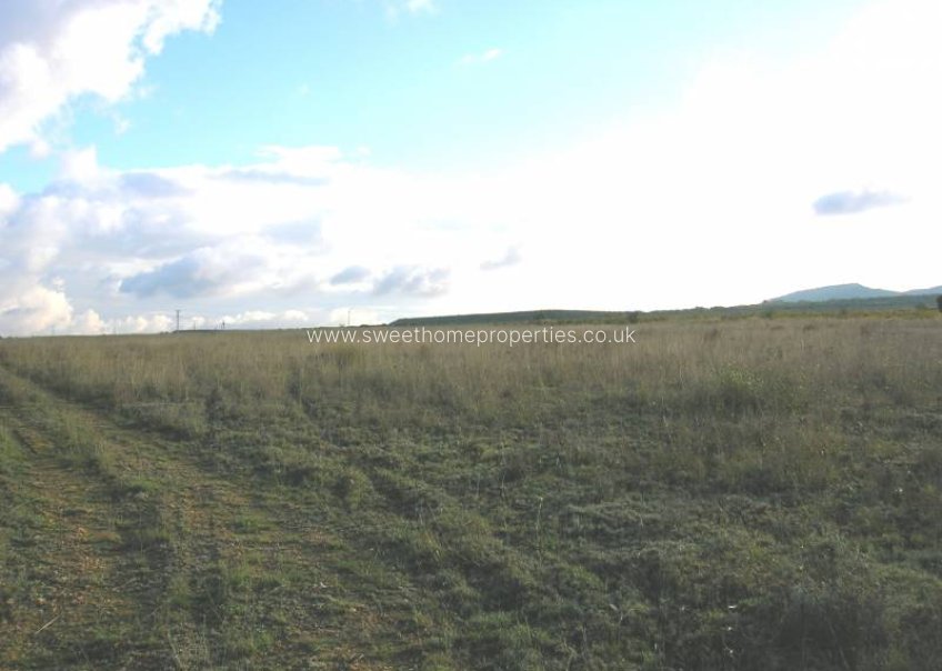 Herverkoop - Plot - Yecla - LOS AMBROSIOS