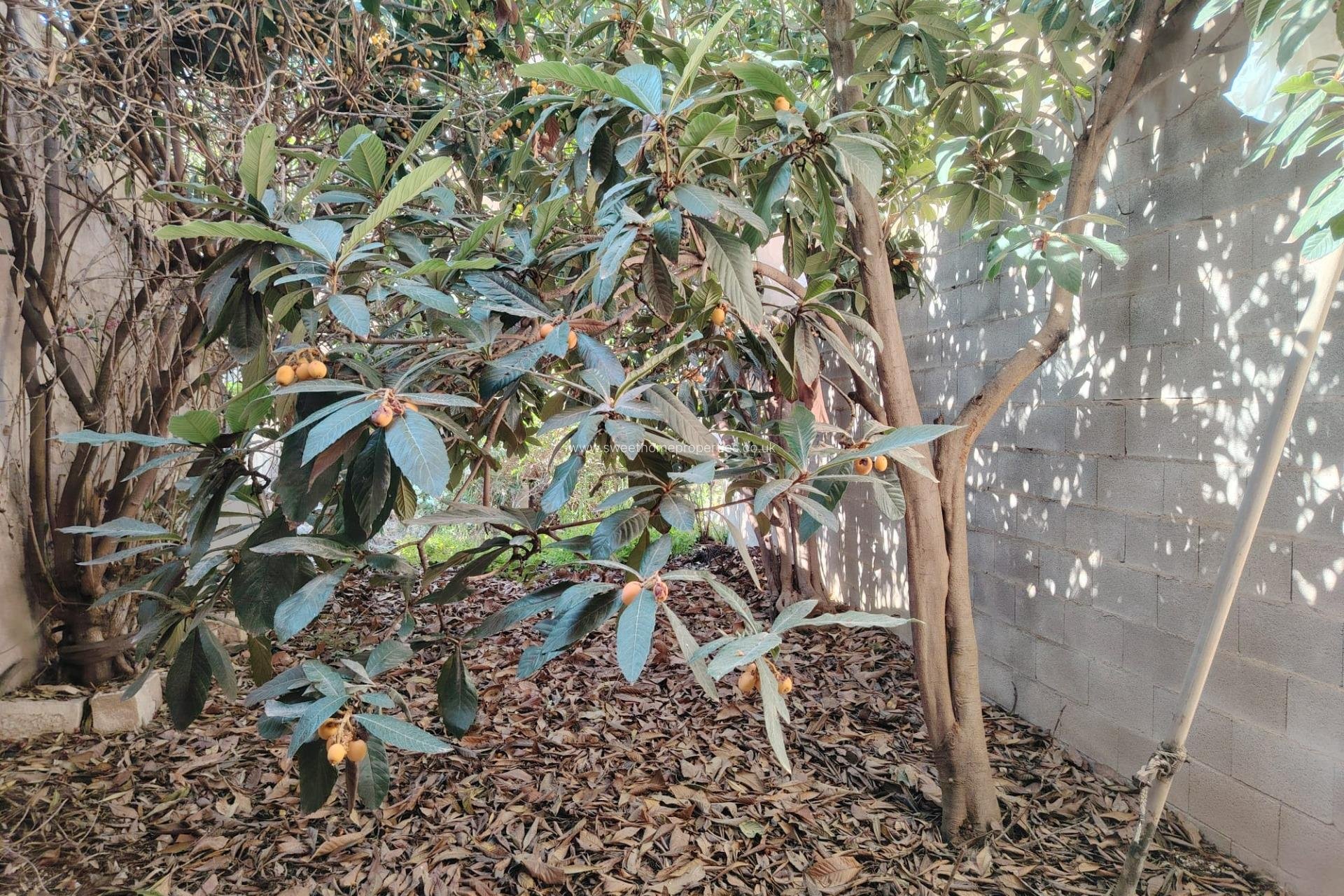 Herverkoop - Town house - Pinoso - Casco urbano