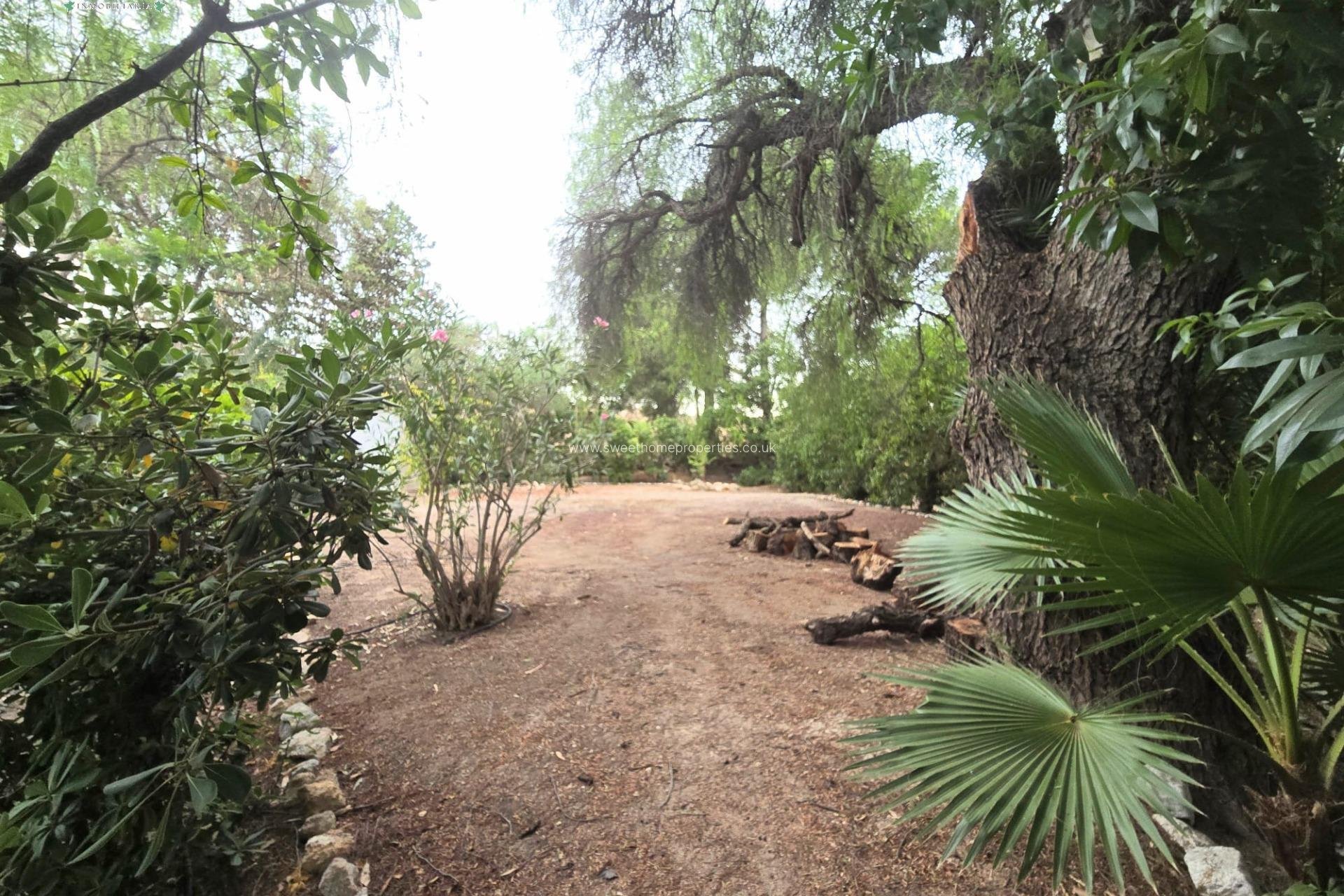 Herverkoop - Villa - Aspe pedanias - El rabosero