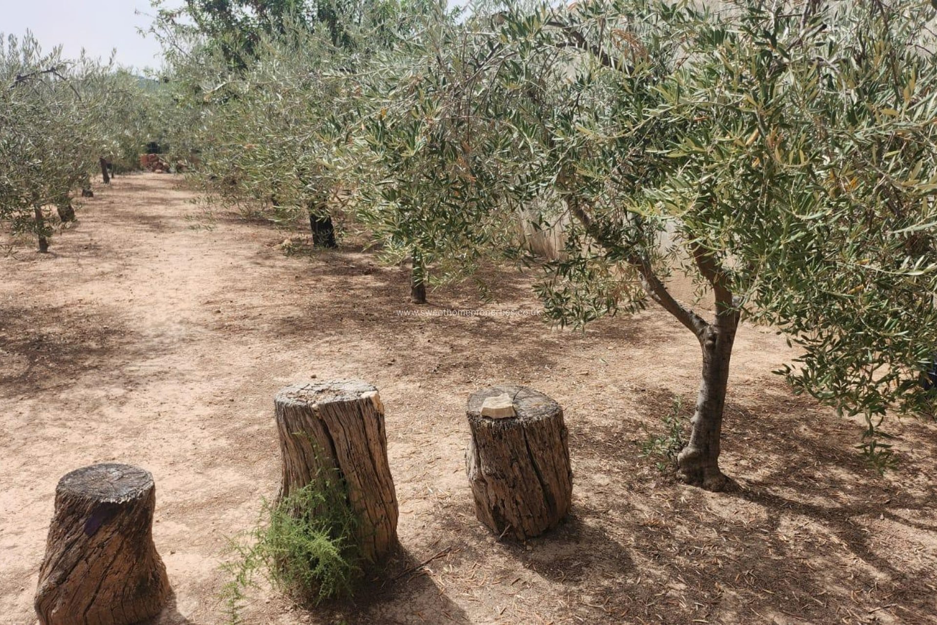 Herverkoop - Villa - Hondon De Las Nieves - LA CANALOSA