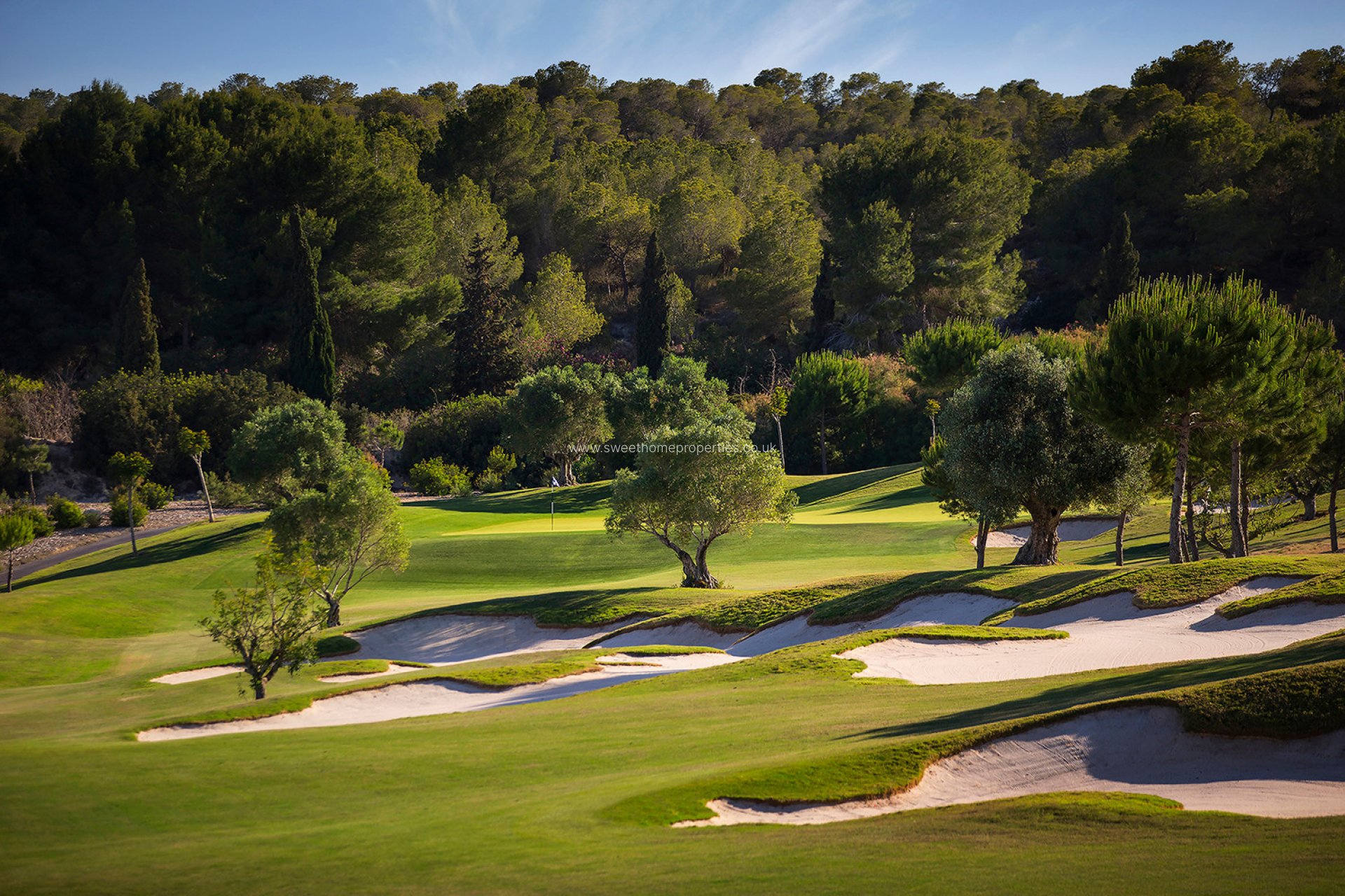 New Build - Apartment - Las Colinas Golf