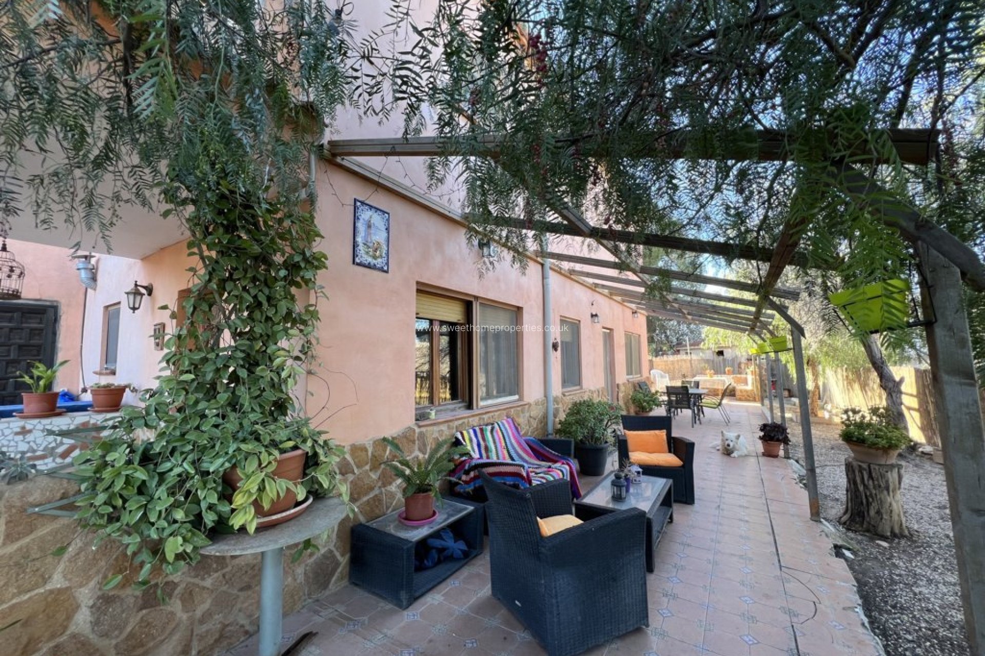 New Build - Country house - Pinoso