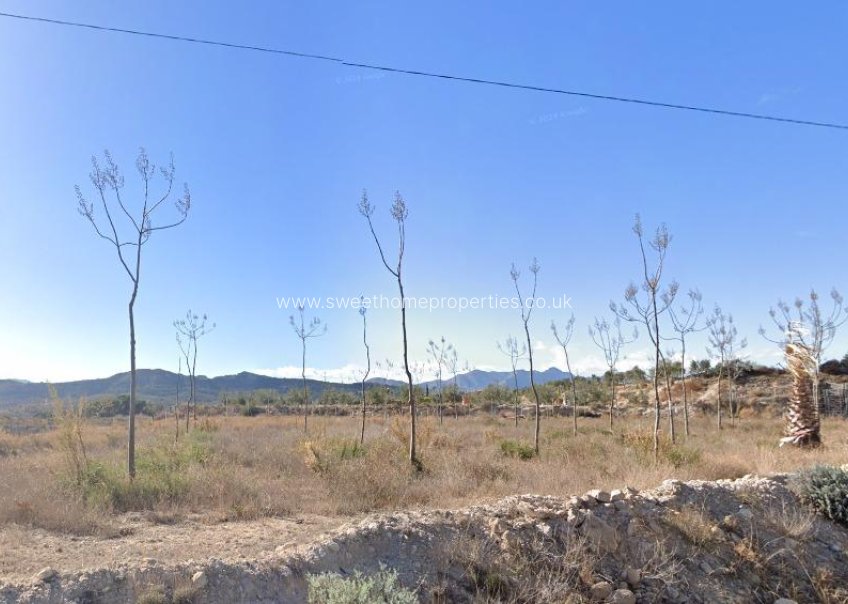 New Build - Town house - Novelda - Ctra novelda - la romana