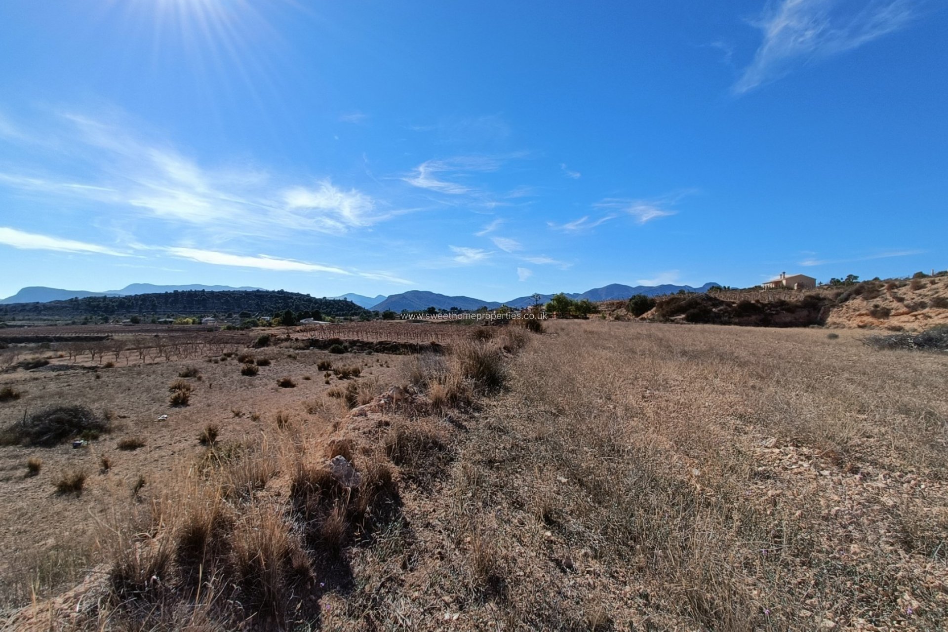 Nieuwbouw Woningen - Country house - La Romana