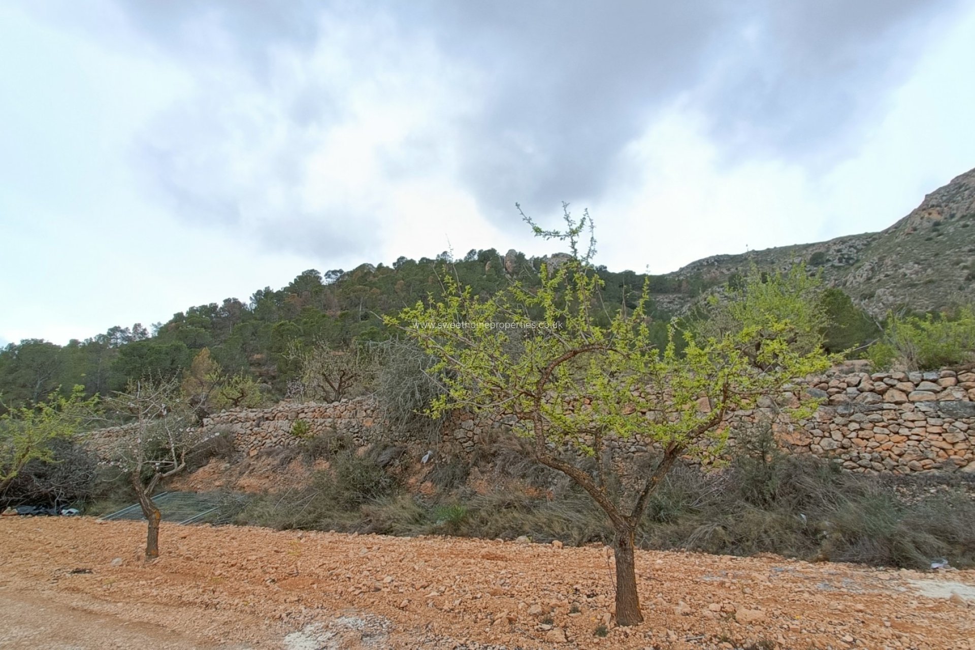 Nieuwbouw Woningen - Country house - La Romana