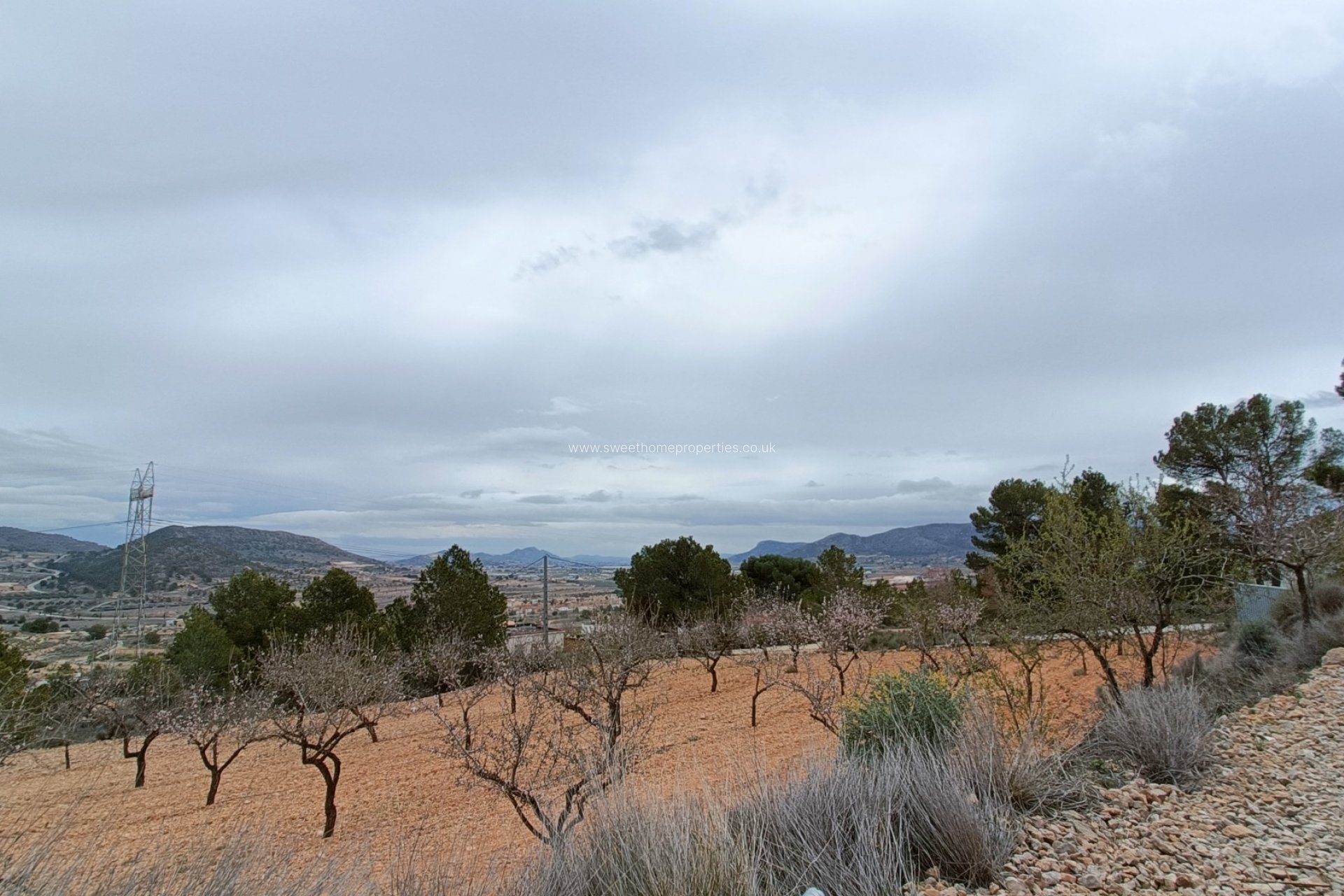 Nieuwbouw Woningen - Country house - La Romana