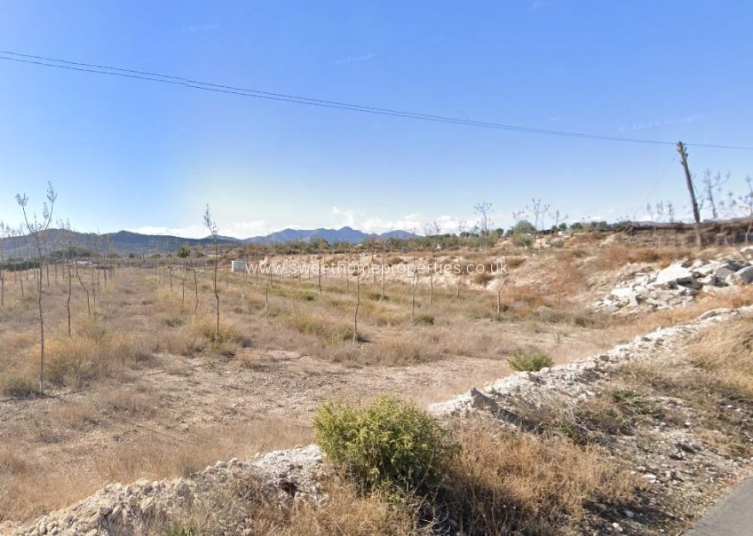 Nieuwbouw Woningen - Town house - Novelda - Ctra novelda - la romana