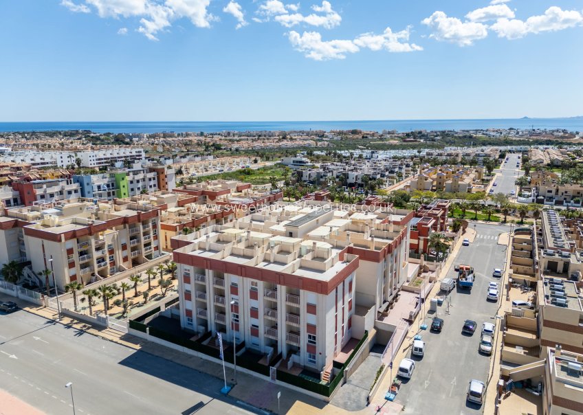 Obra nueva - Apartment - Cabo Roig - Lomas de Cabo Roig