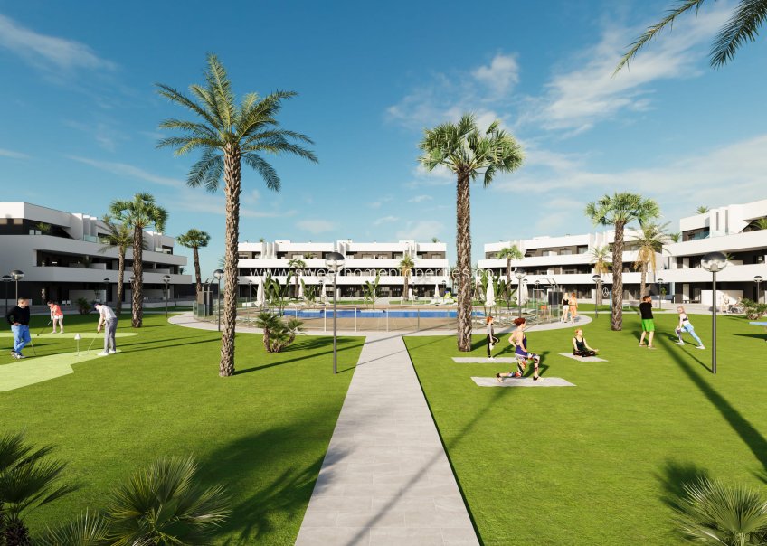 Obra nueva - Apartment - Guardamar Del Segura - El Raso