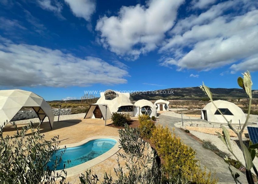 Obra nueva - Casa de campo - Pinoso