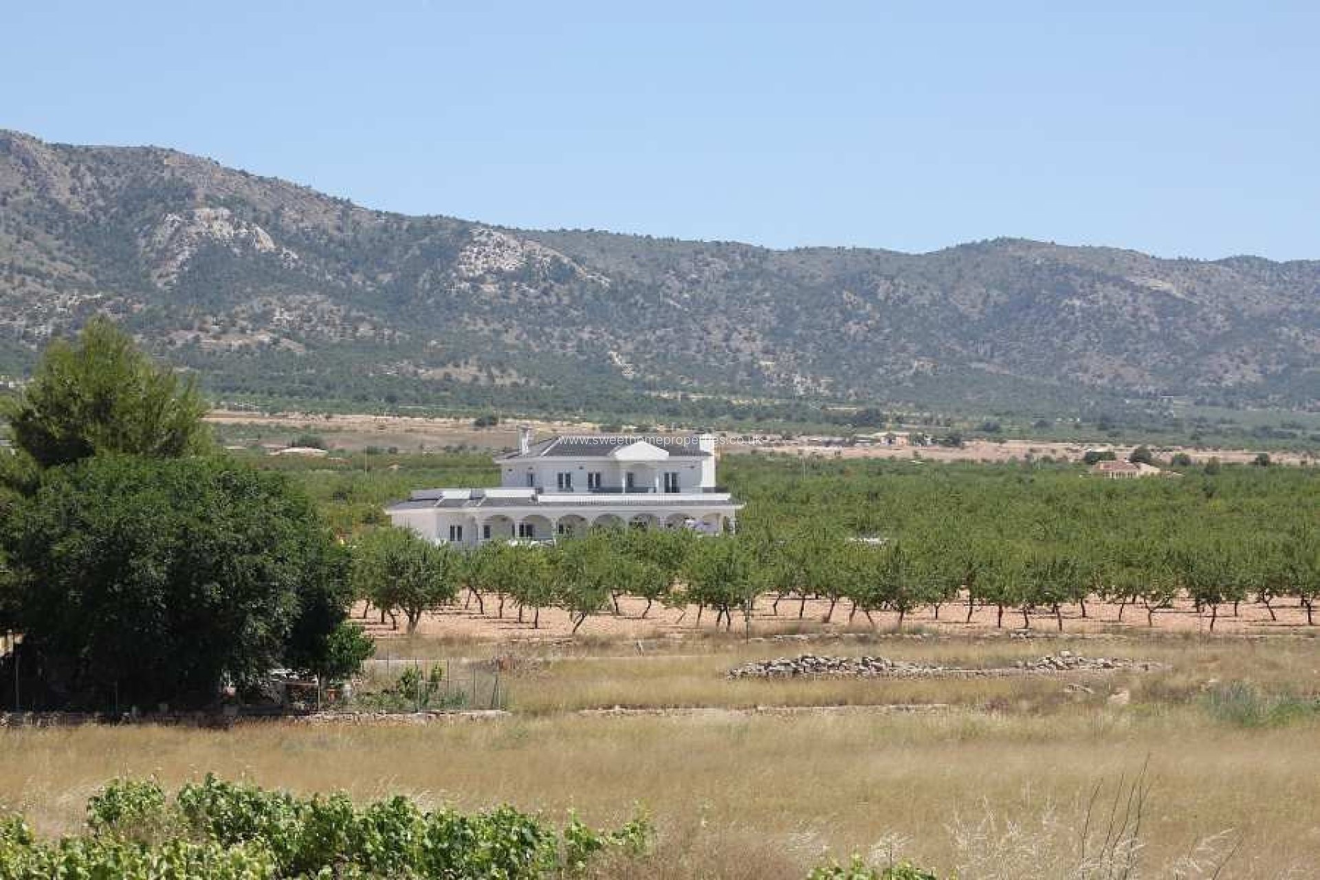 Obra nueva - Casa de campo - Pinoso