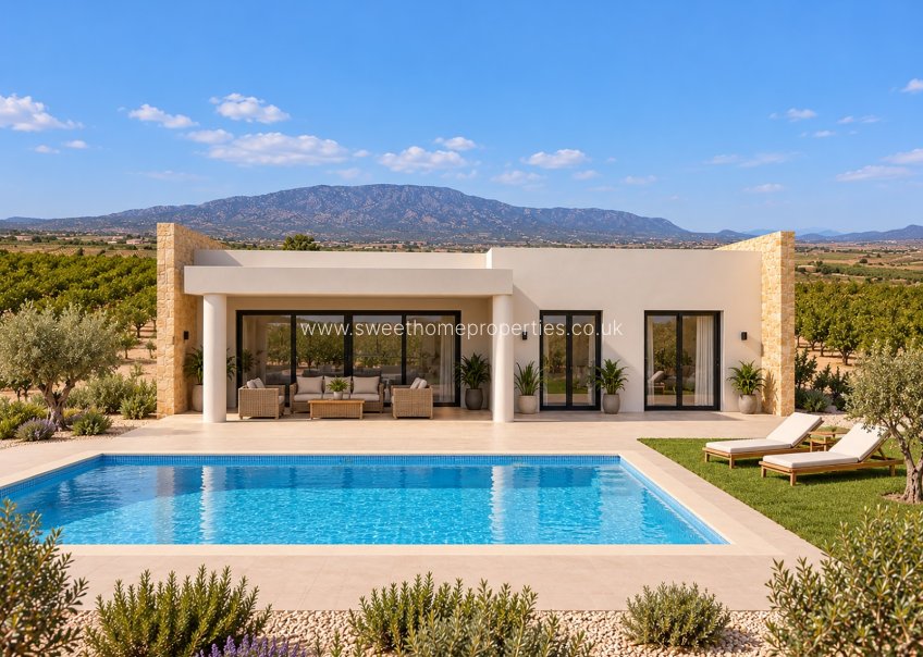 Obra nueva - Casa de campo - Pinoso