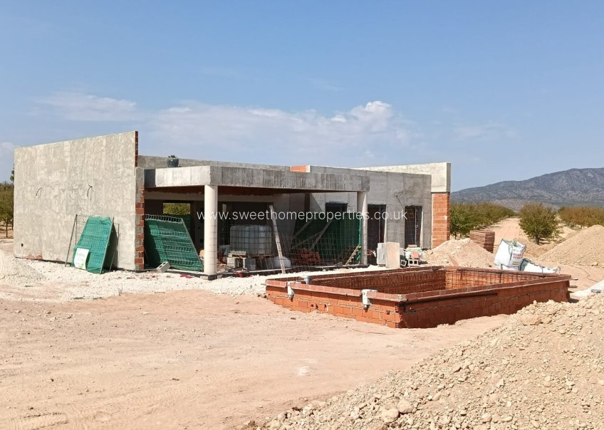 Obra nueva - Casa de campo - Pinoso