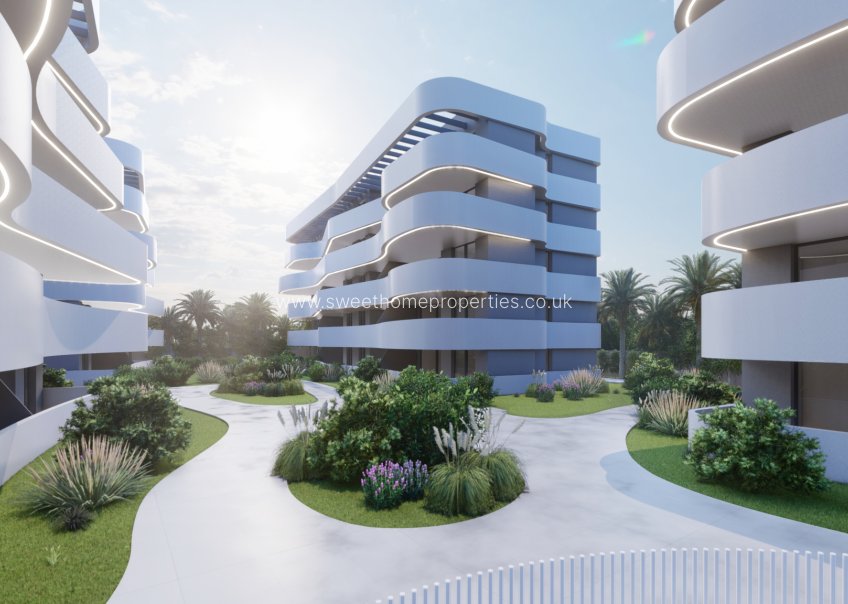 Obra nueva - Penthouse - Guardamar Del Segura - El Raso