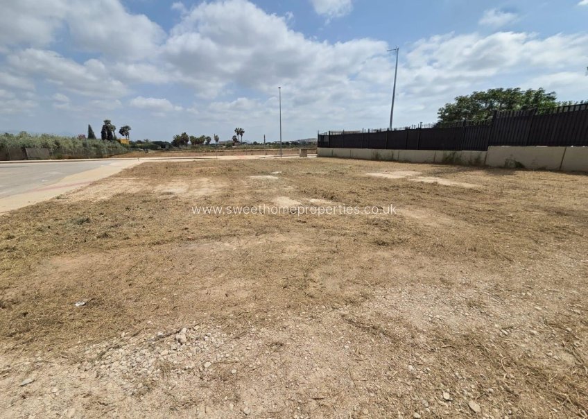 Obra nueva - Plot - Aspe - Pedanías Oeste