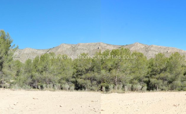 Plot - Herverkoop - Hondon De Las Nieves - La solana