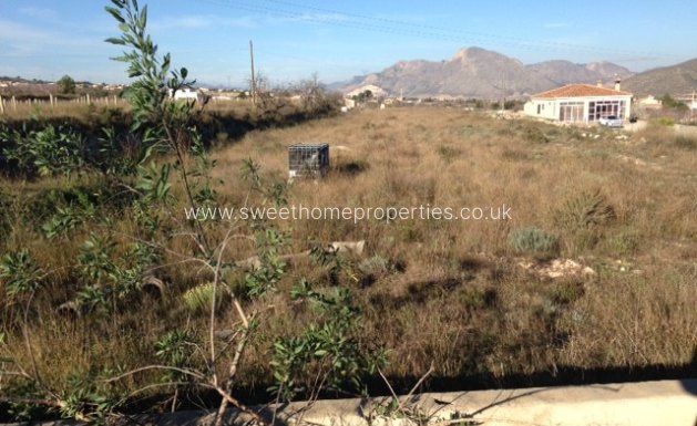 Plot - Herverkoop - Hondon De Los Frailes -
                Hondon De Los Frailes