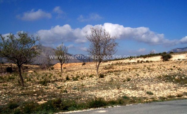 Plot - Herverkoop - Hondon De Los Frailes -
                Hondon De Los Frailes