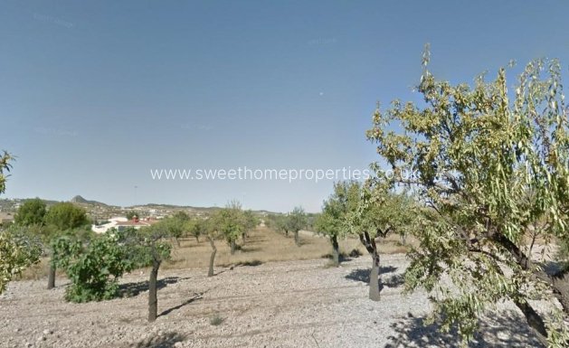 Plot - Herverkoop - Hondon De Los Frailes - Hondon De Los Frailes