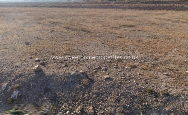 Plot - Herverkoop - Hondon De Los Frailes -
                Hondon De Los Frailes