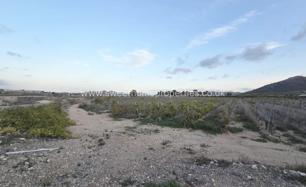 Plot - Herverkoop - La Romana - Los joveres