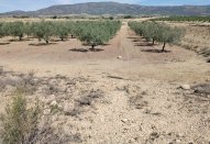 Plot - Herverkoop -
                Monovar - AS-67257