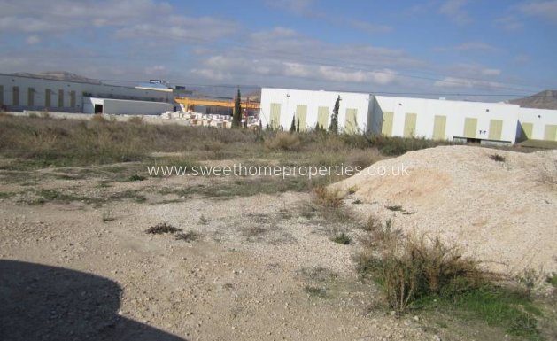 Plot - Herverkoop - Novelda - Novelda