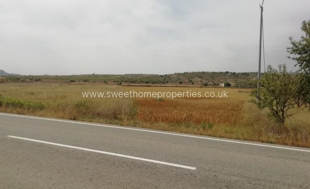 Plot - Herverkoop - Orihuela - Barbarroja