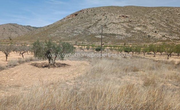 Plot - Herverkoop - Orihuela - Barbarroja