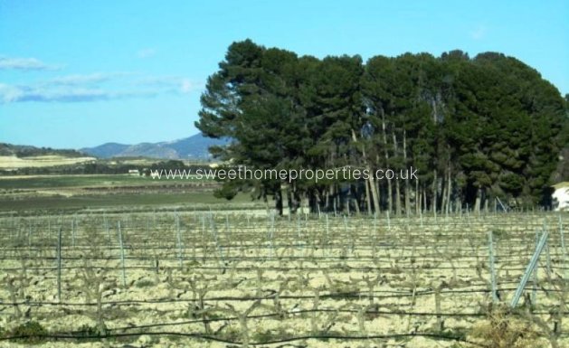 Plot - Herverkoop - Salinas - Salinas