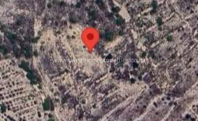 Plot - Resale - Abanilla -
                Abanilla