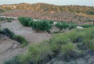 Plot - Resale -
                Abanilla - AS-40106