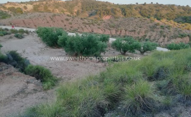 Plot - Resale - Abanilla -
                Macisvenda