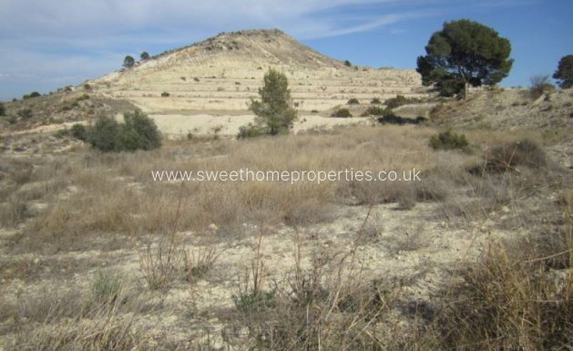 Plot - Resale - Aspe - Aspe