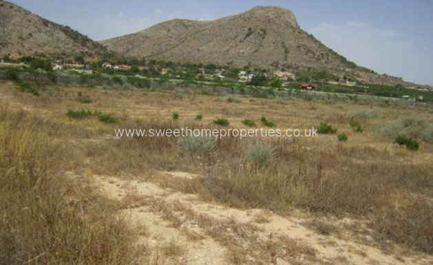 Plot - Resale - Aspe - Aspe