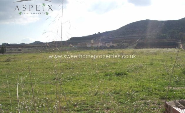 Plot - Resale - Aspe - Aspe