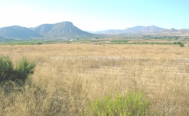 Plot - Resale - Aspe - Aspe