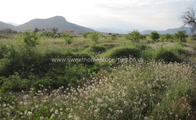 Plot - Resale - Aspe - Aspe