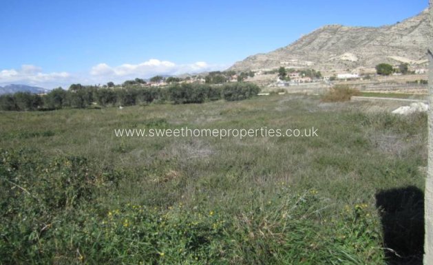 Plot - Resale - Aspe - Aspe